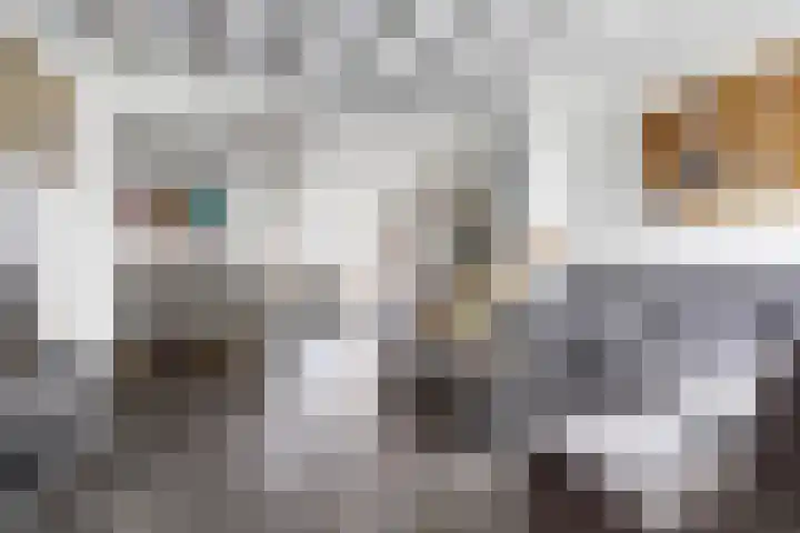 Fabriekstraat 45 Goirle thumbnail 5