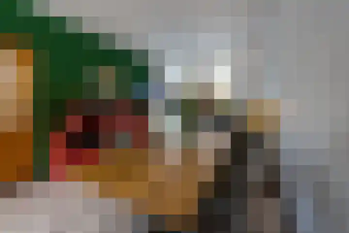 Fabritiusstraat 11 Kerkrade thumbnail 11