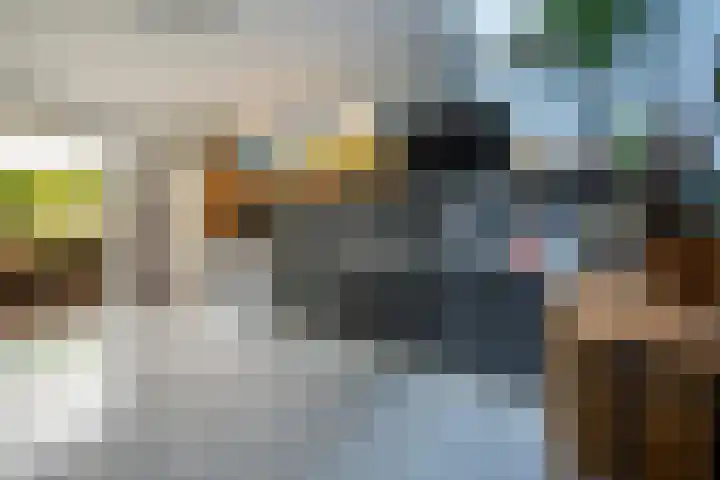 Fabritiusstraat 11 Kerkrade thumbnail 12