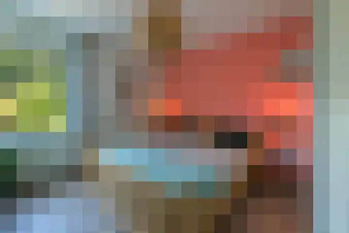 Fabritiusstraat 11 Kerkrade thumbnail 18