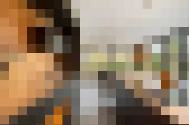 Fabritiusstraat 4 Sweikhuizen thumbnail 10