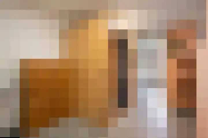 Fabritiusstraat 4 Sweikhuizen thumbnail 12