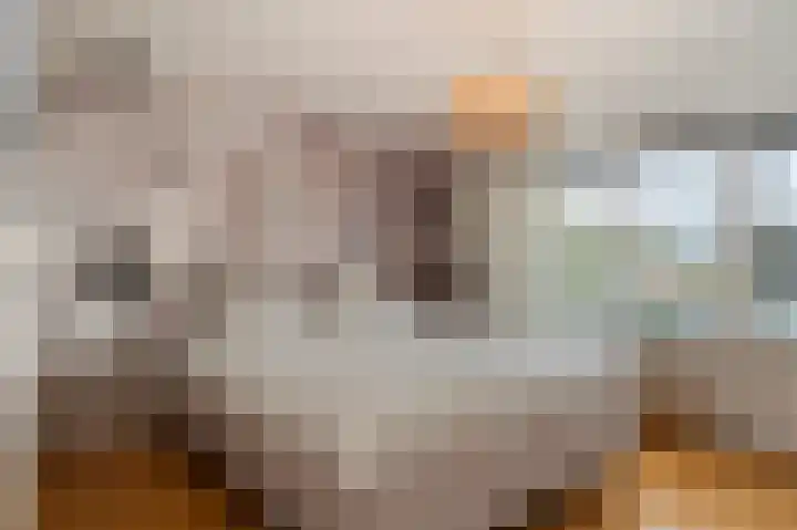 Fabritiusstraat 4 Sweikhuizen thumbnail 15