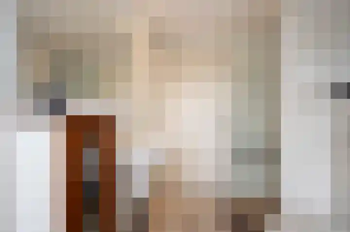 Fabritiusstraat 4 Sweikhuizen thumbnail 19