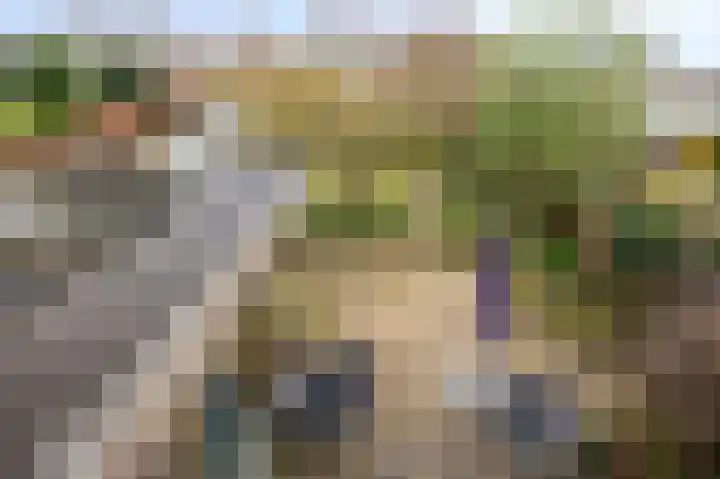 Fabritiusstraat 4 Sweikhuizen thumbnail 22