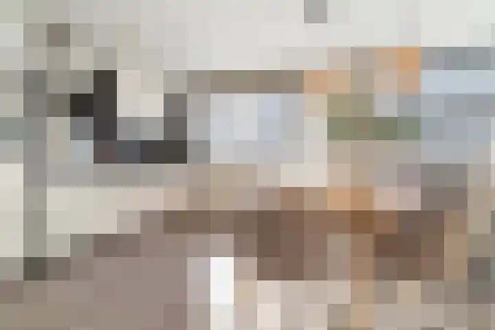 Factorij 108 Rotterdam thumbnail 7