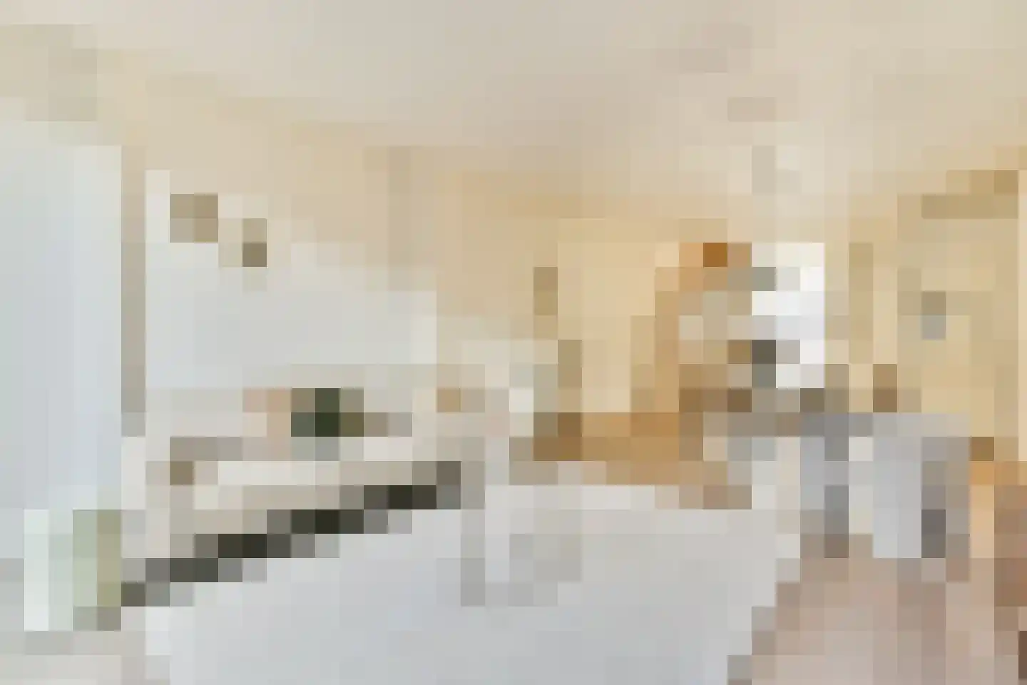 Fagelstraat 6 2 Amsterdam thumbnail 9
