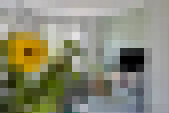 Fagotlaan 7 Goes thumbnail 10