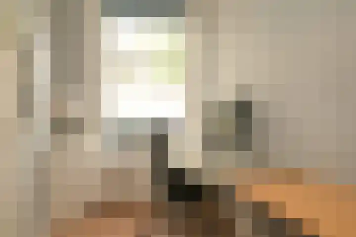 Fahrenheitstraat 357 Den Haag thumbnail 7