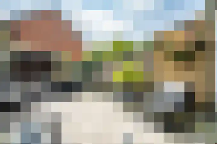 Fakkelgras 12 Leiden thumbnail 11