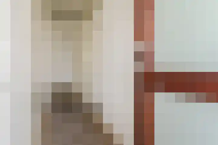 Fakkelgras 12 Leiden thumbnail 13