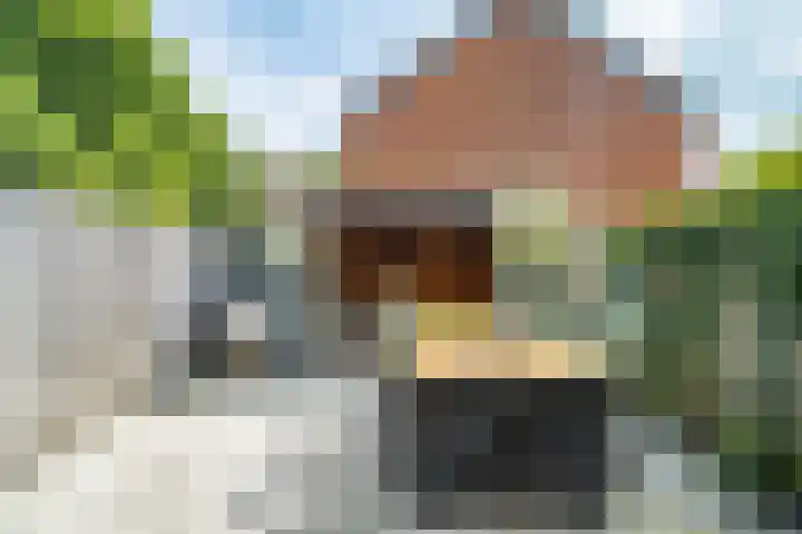 Fakkelgras 12 Leiden thumbnail 13