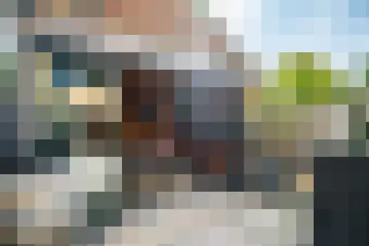 Fakkelgras 12 Leiden thumbnail 14