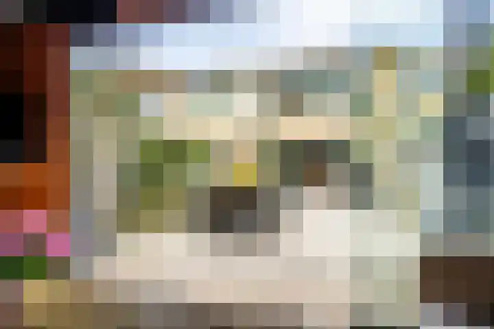 Fakkelgras 12 Leiden thumbnail 17