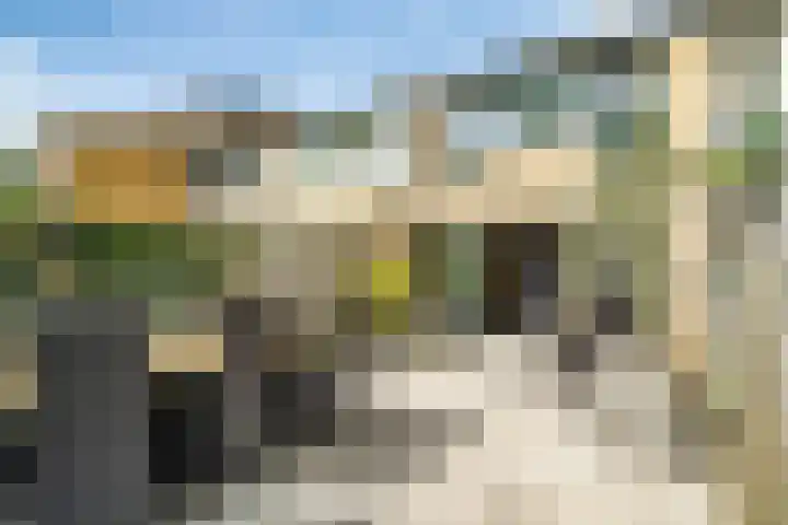 Fakkelgras 12 Leiden thumbnail 18