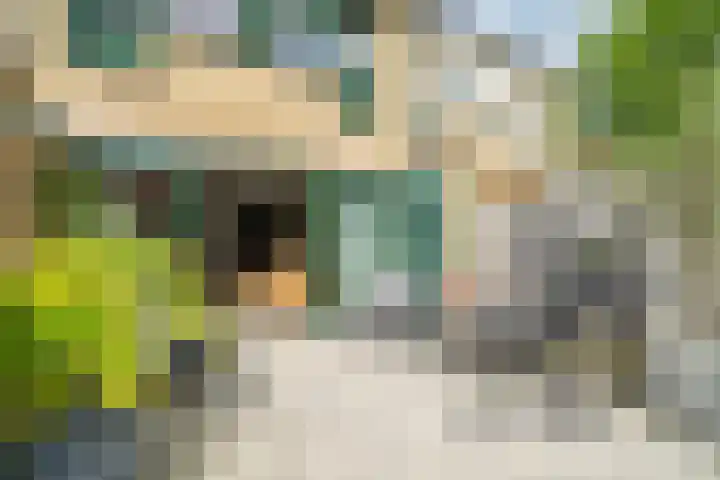 Fakkelgras 12 Leiden thumbnail 19