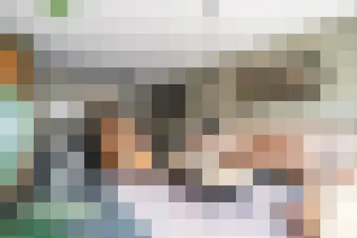 Fakkelgras 12 Leiden thumbnail 21
