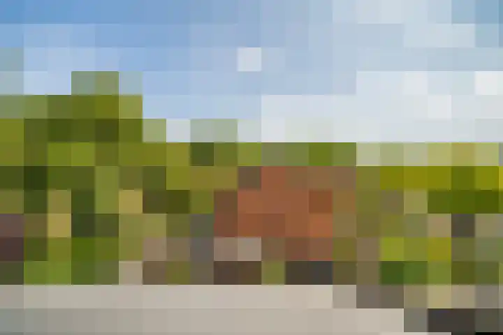 Fakkelgras 12 Leiden thumbnail 58