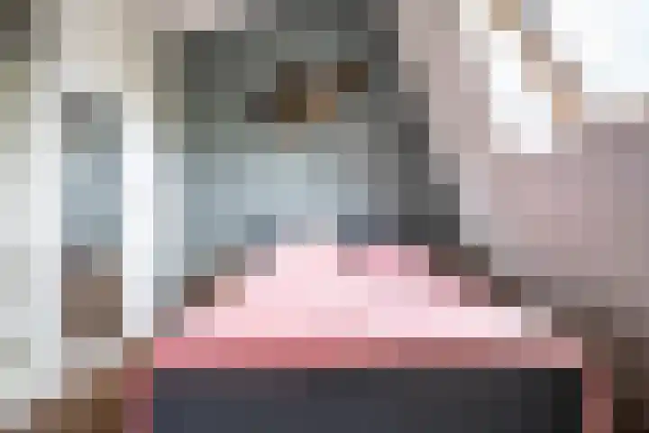 Fakkelgras 12 Leiden thumbnail 64