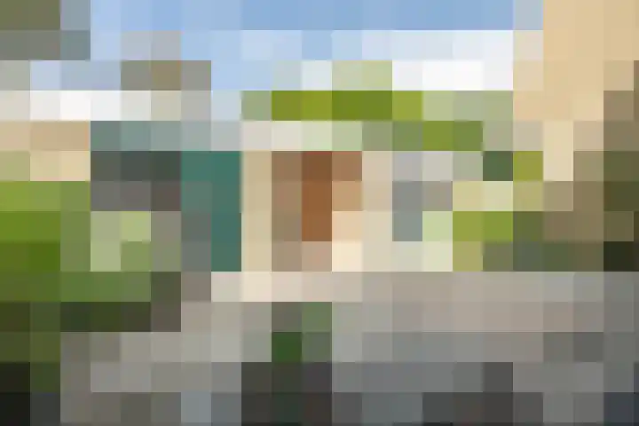 Fakkelgras 12 Leiden thumbnail 67