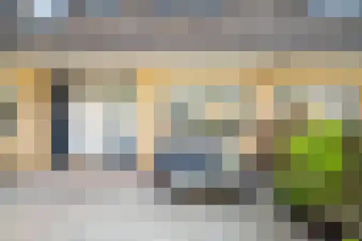 Fakkelgras 12 Leiden thumbnail 68