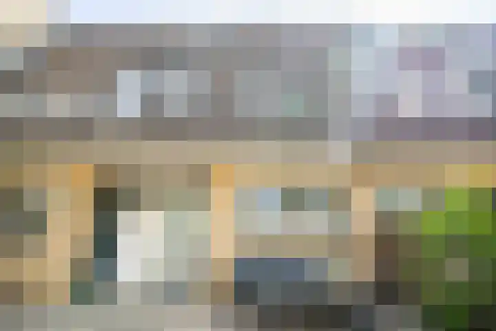 Fakkelgras 12 Leiden thumbnail 78