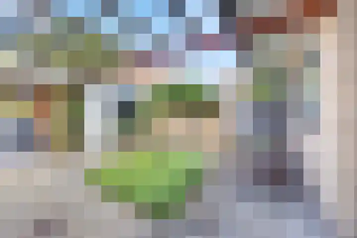 Fakkelgras 50 Leiden thumbnail 6