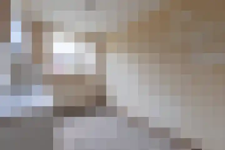 Faktorij 24 Alkmaar thumbnail 10