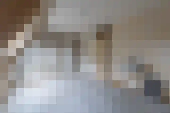 Faktorij 24 Alkmaar thumbnail 14