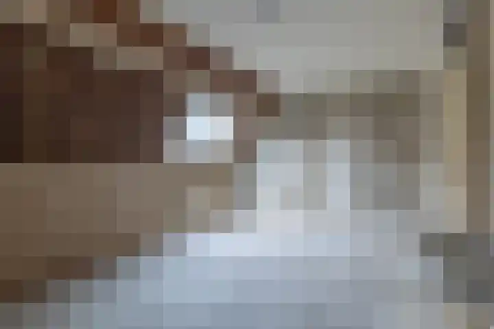 Faktorij 24 Alkmaar thumbnail 15