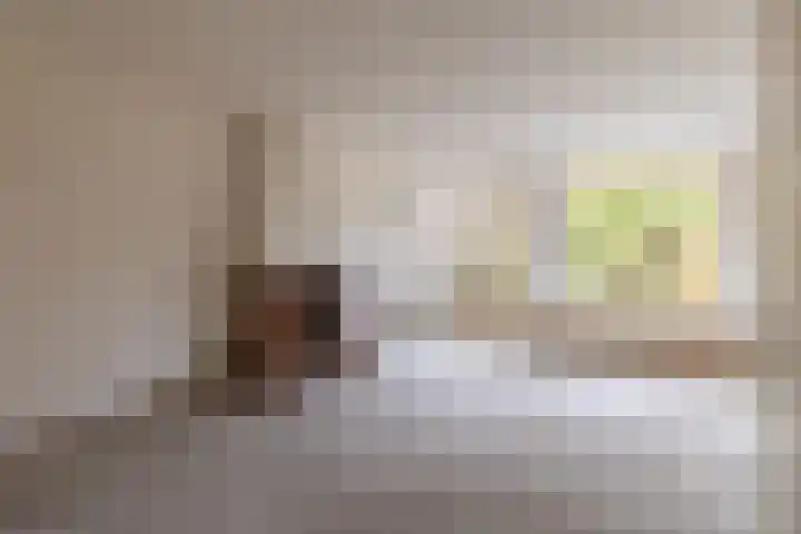 Faktorij 24 Alkmaar thumbnail 6