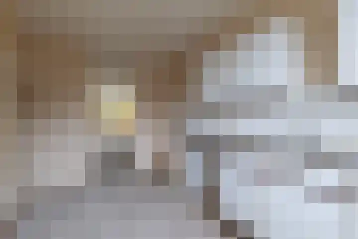 Faktorij 24 Alkmaar thumbnail 9