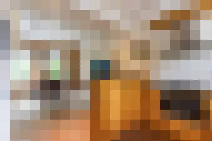 Falkenawei 3 Feanwâlden thumbnail 12