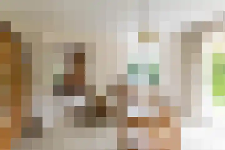 Falkenawei 3 Feanwâlden thumbnail 18