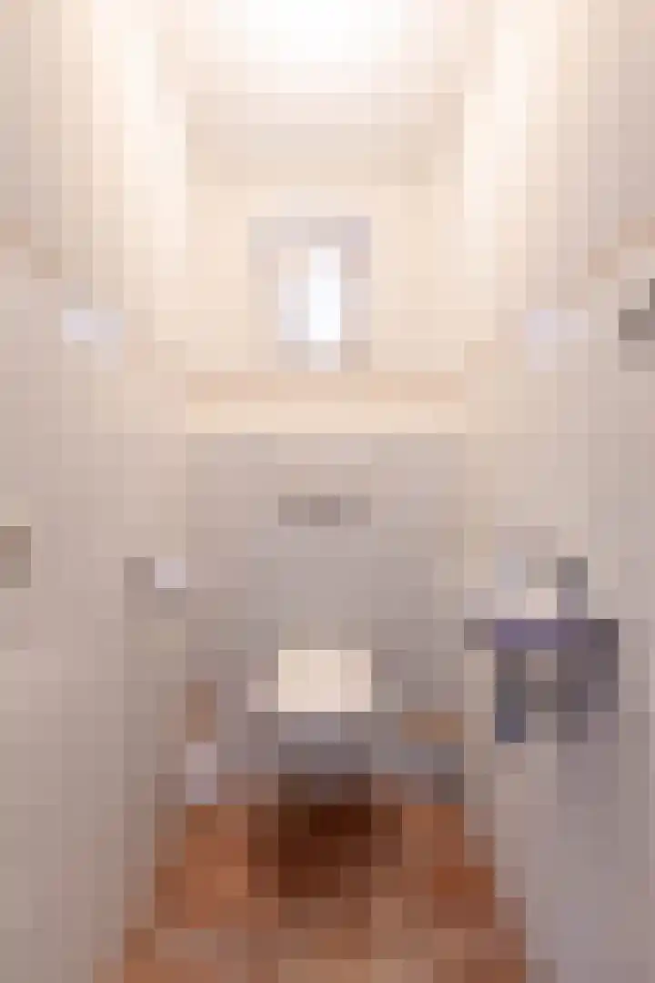 Falkenawei 3 Feanwâlden thumbnail 22