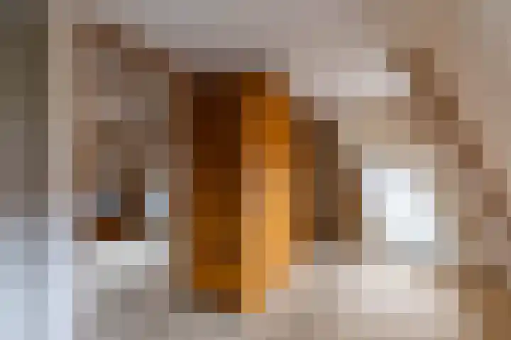 Falkenawei 3 Feanwâlden thumbnail 24