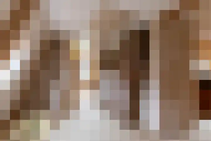 Falkenawei 3 Feanwâlden thumbnail 25