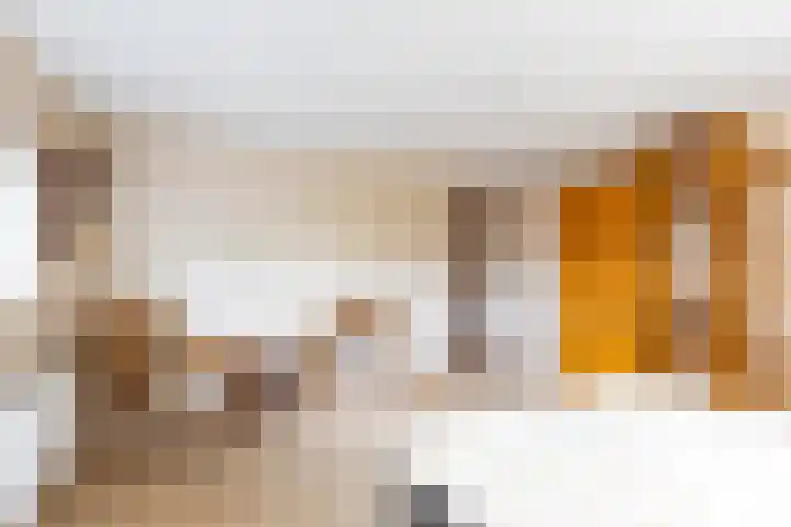 Falkenawei 3 Feanwâlden thumbnail 39