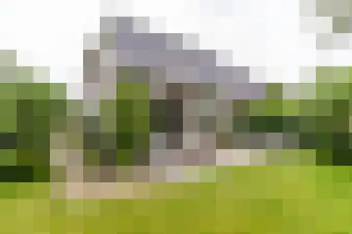 Falkenawei 3 Feanwâlden thumbnail 44