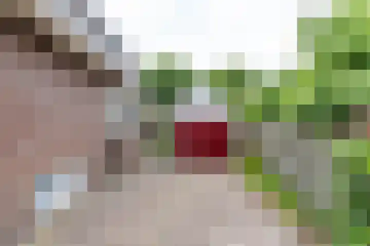 Falkenawei 3 Feanwâlden thumbnail 48