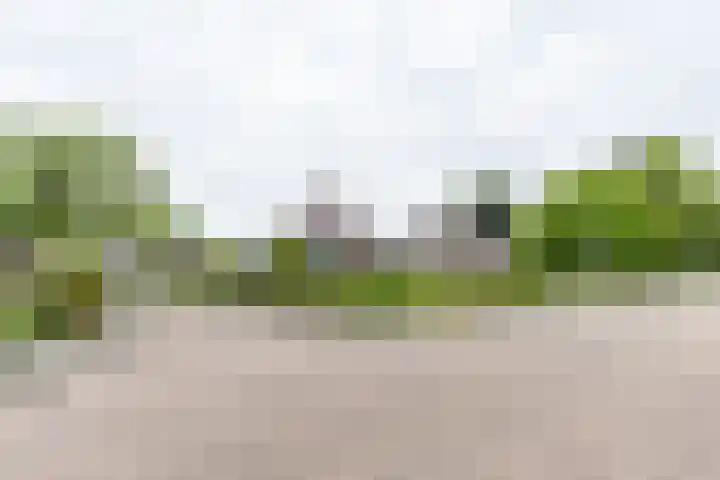 Falkenawei 3 Feanwâlden thumbnail 50
