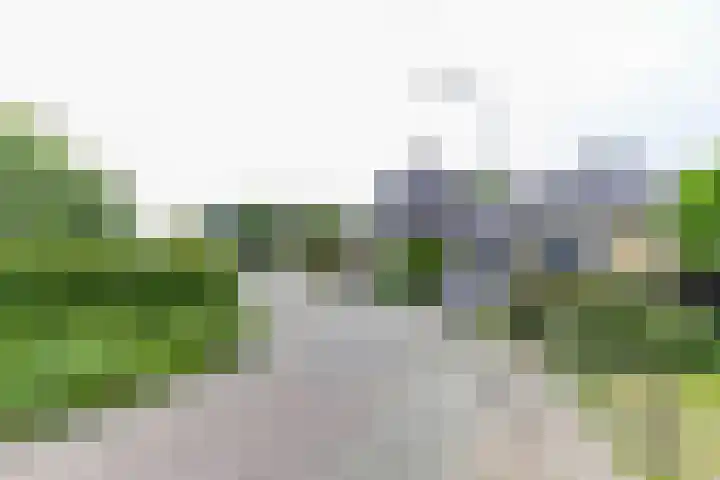 Falkenawei 3 Feanwâlden thumbnail 51