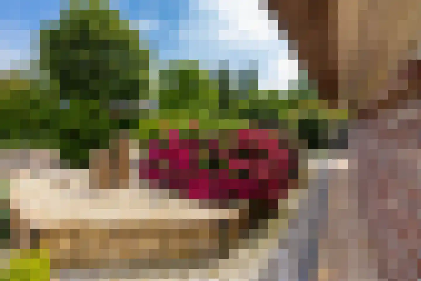 Falkenburgerf 10 Ommen thumbnail 12