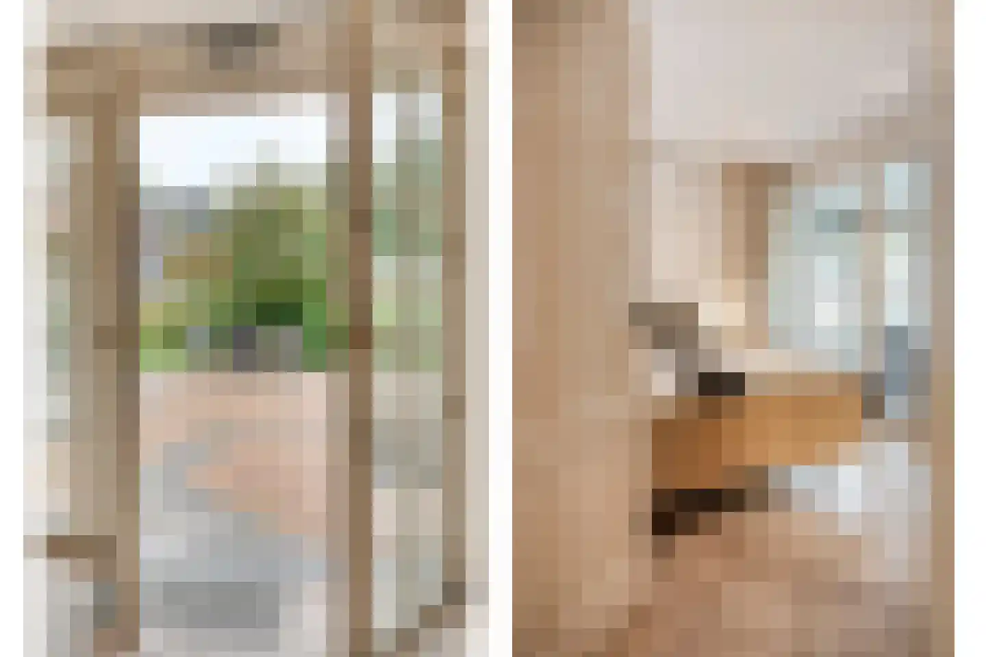 Falkenburgerf 10 Ommen thumbnail 37