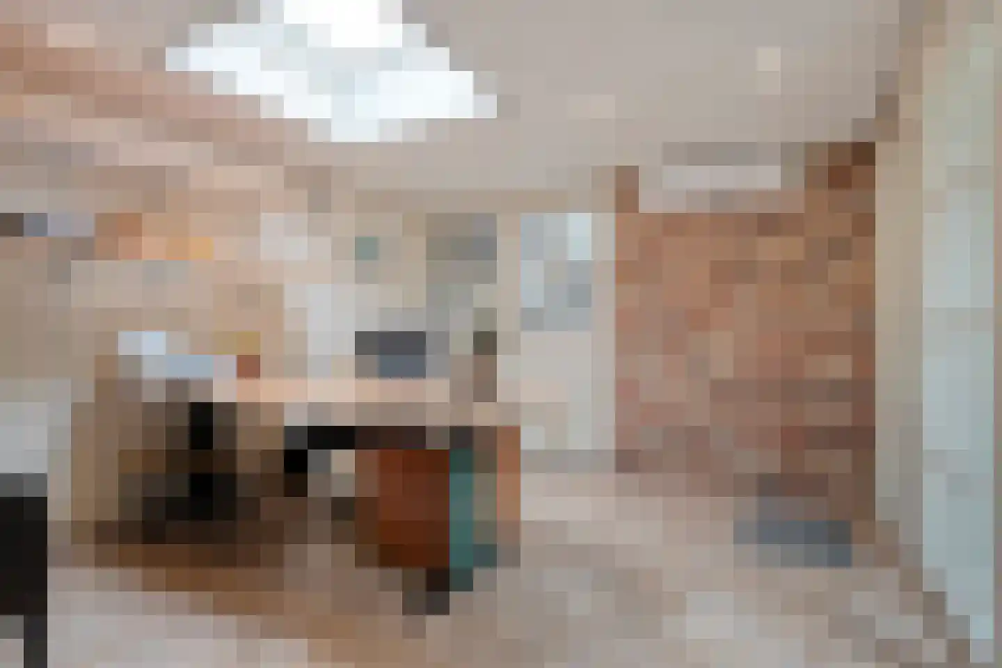 Falkenburgerf 10 Ommen thumbnail 45