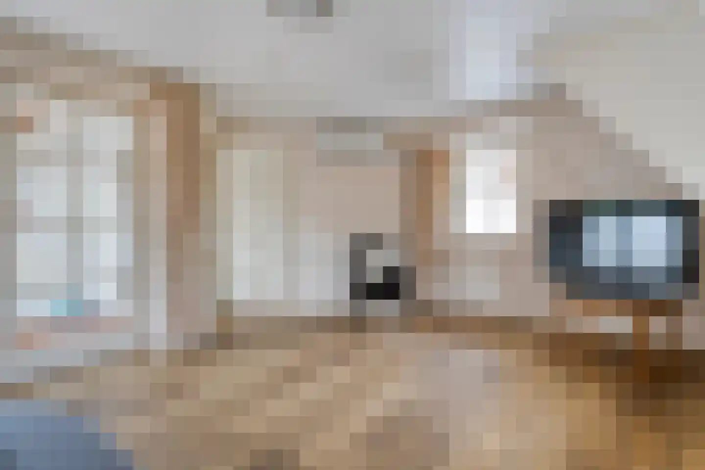 Falkenburgerf 10 Ommen thumbnail 57