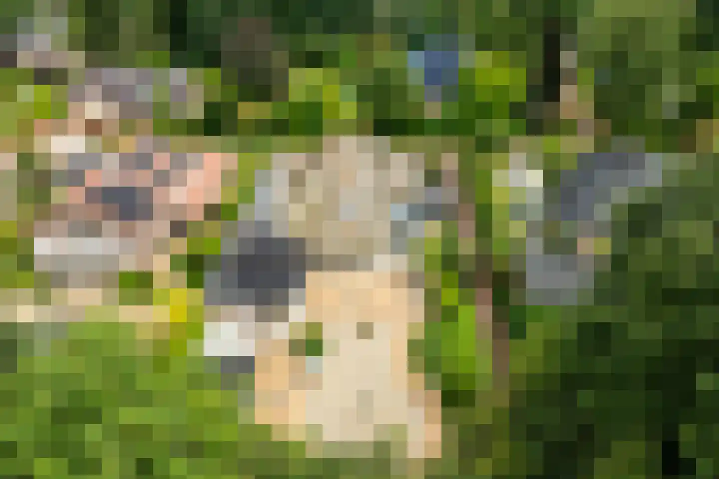 Falkenburgerf 10 Ommen thumbnail 6