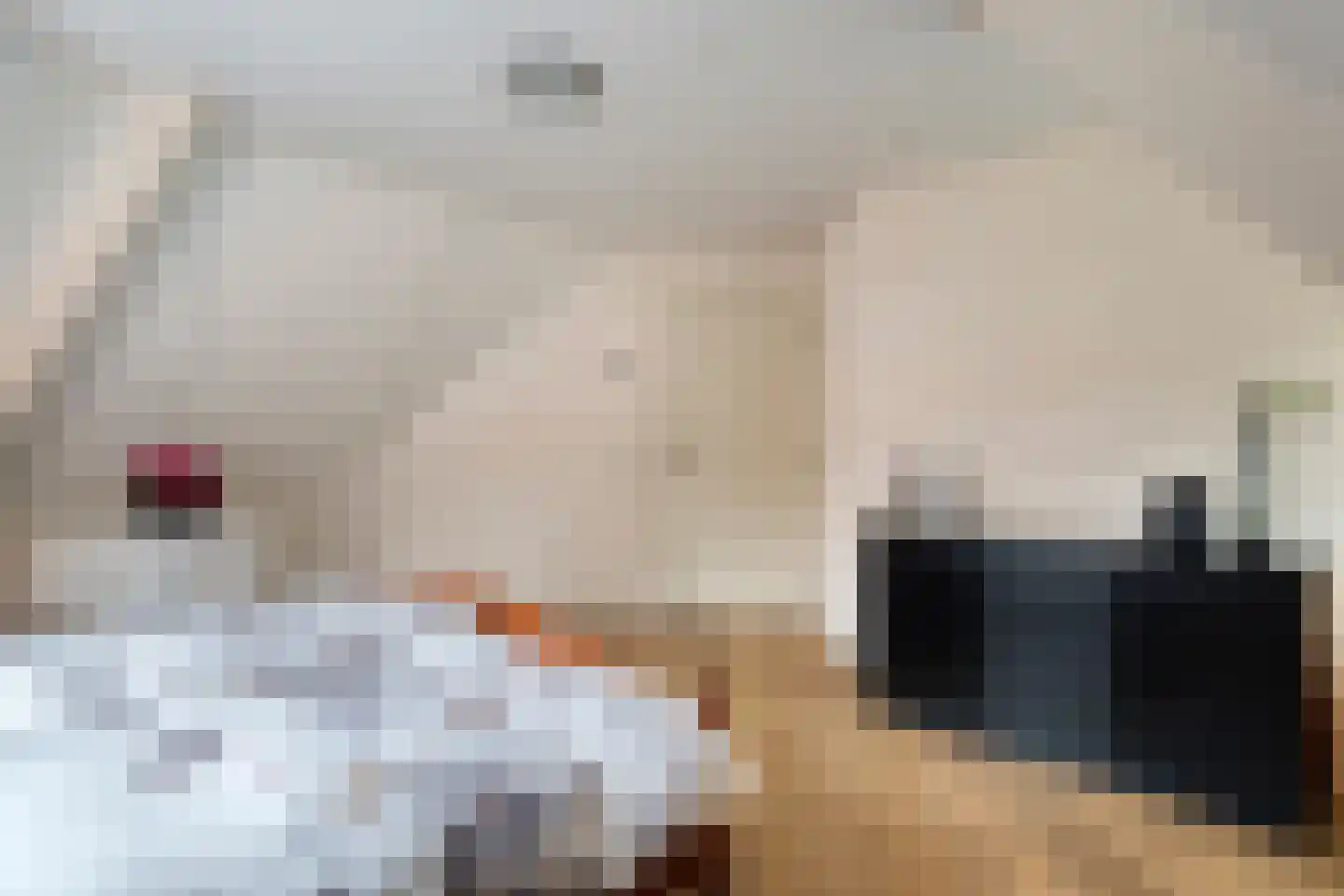 Falkenburgerf 10 Ommen thumbnail 63