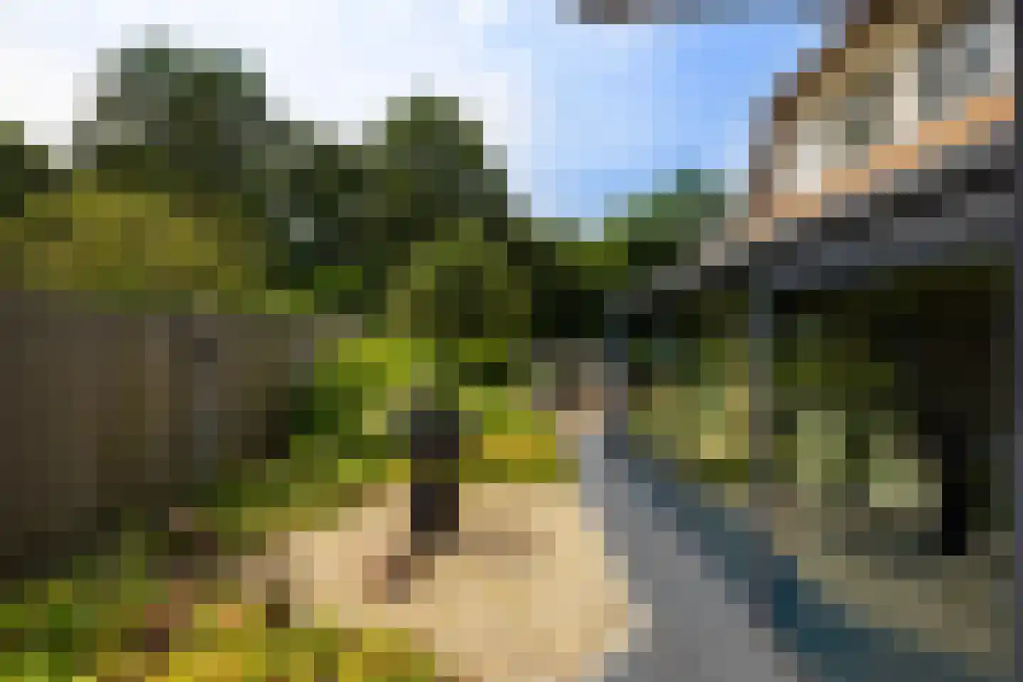 Falkenburgerf 10 Ommen thumbnail 69