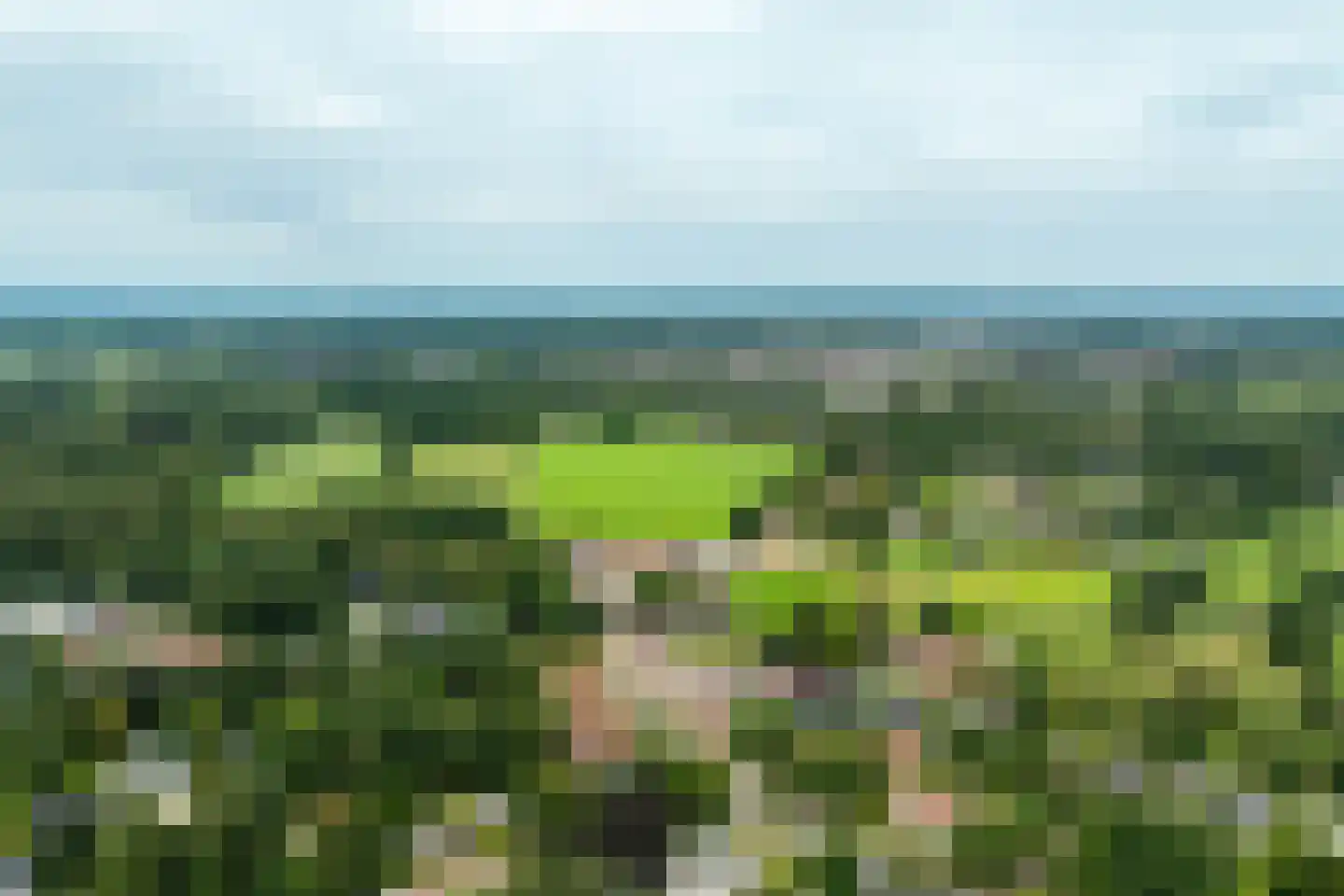 Falkenburgerf 10 Ommen thumbnail 76